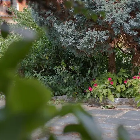 דירה Vivienda De Uso Turistico *